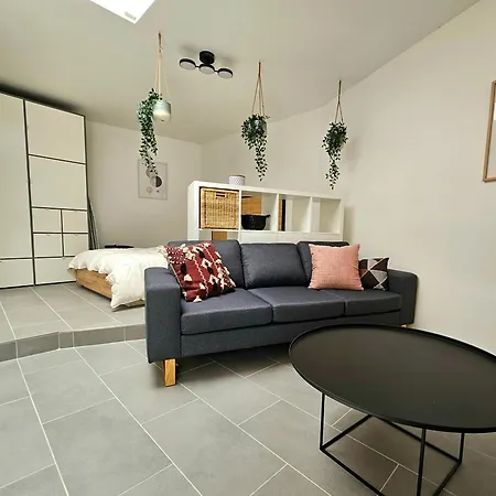 Modern & Spacious In Lausanne! Rn18-5 דירה