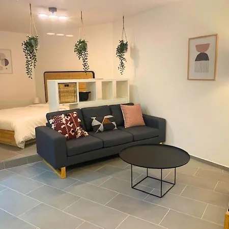 Modern & Spacious In Lausanne! Rn18-5 דירה *